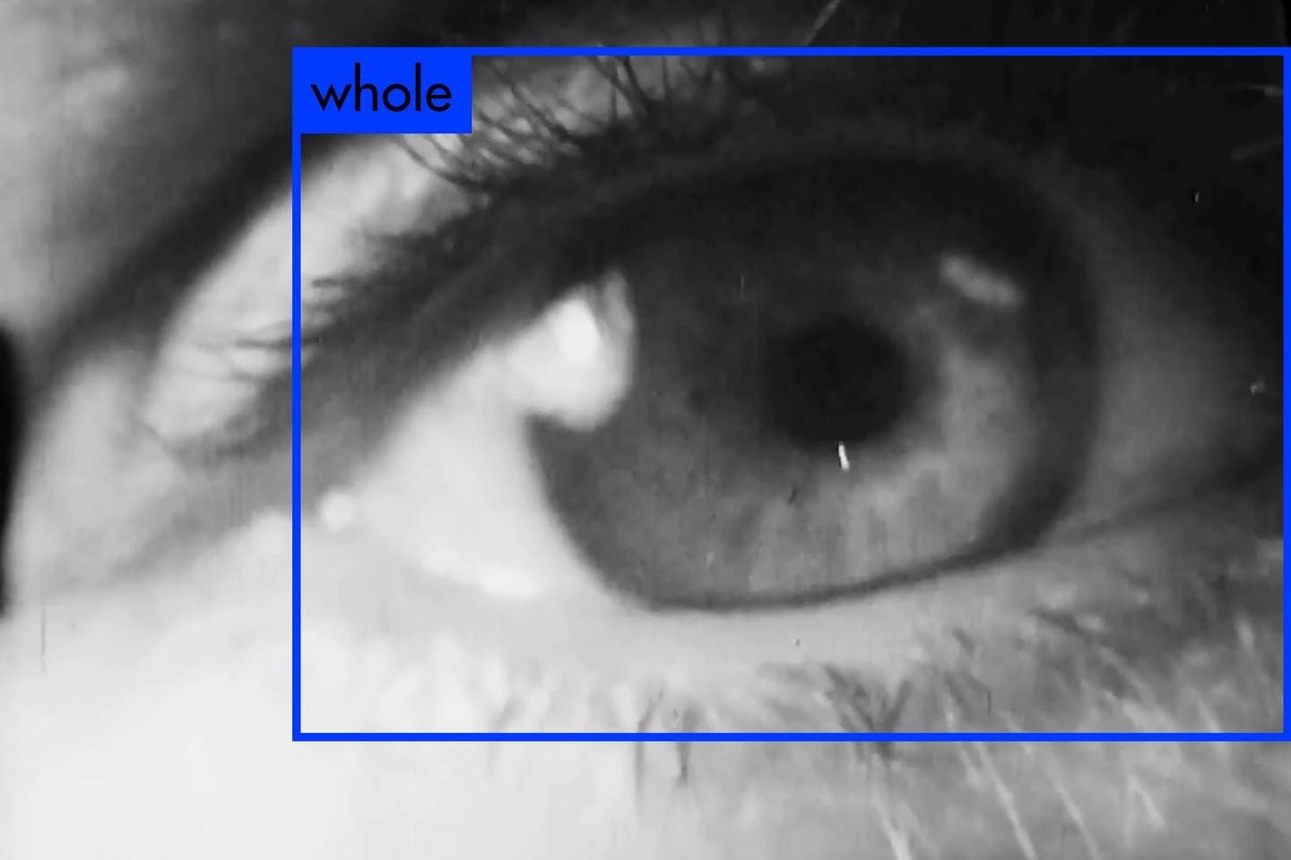 At the Jeu de Paume, "The World According to AI" Dives into Artificial Intelligence Without Illusions