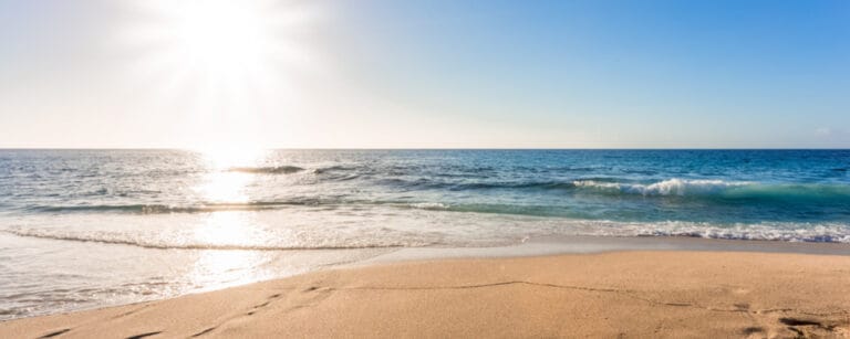 Marine heatwave: The alarming effects of heat on underwater life