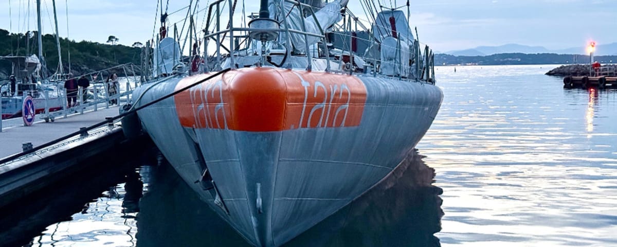 Porquerolles Welcomes the Schooner Tara