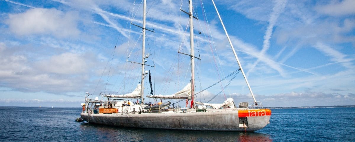 Tara, the schooner that protects the ocean: history, missions, and the Tara Europa expedition