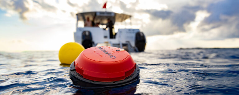 Garmin Descent S1: The connected buoy that revolutionizes diving safety