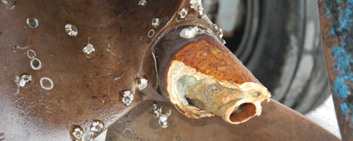 Hull Cleaning: What to Check Before Applying Antifouling Paint