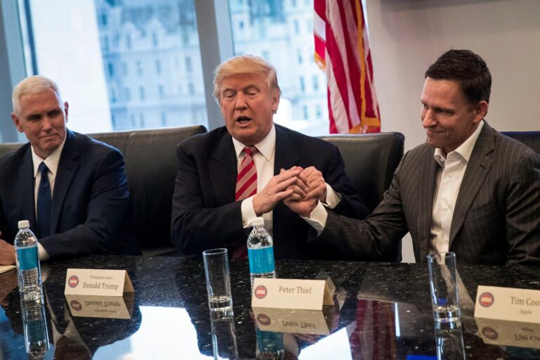 Peter Thiel, the Tech Libertarians' Champion Who Distrusts the State