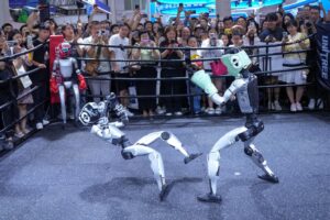 In China, the robot industry is being put into a frenzy by the promises of a $5 trillion market.