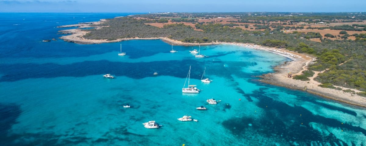 Choosing the Ideal Boat for a Successful Rental