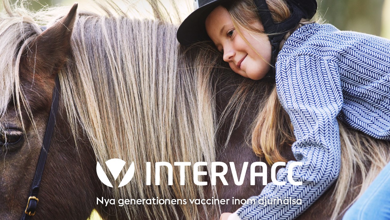 Intervacc's distribution partner Dechra launches Strangvac in Spain, Portugal, and Slovenia