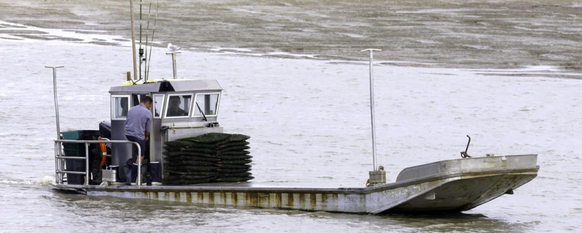 Toilets on oyster barges? Oyster farmers denounce an absurd measure.