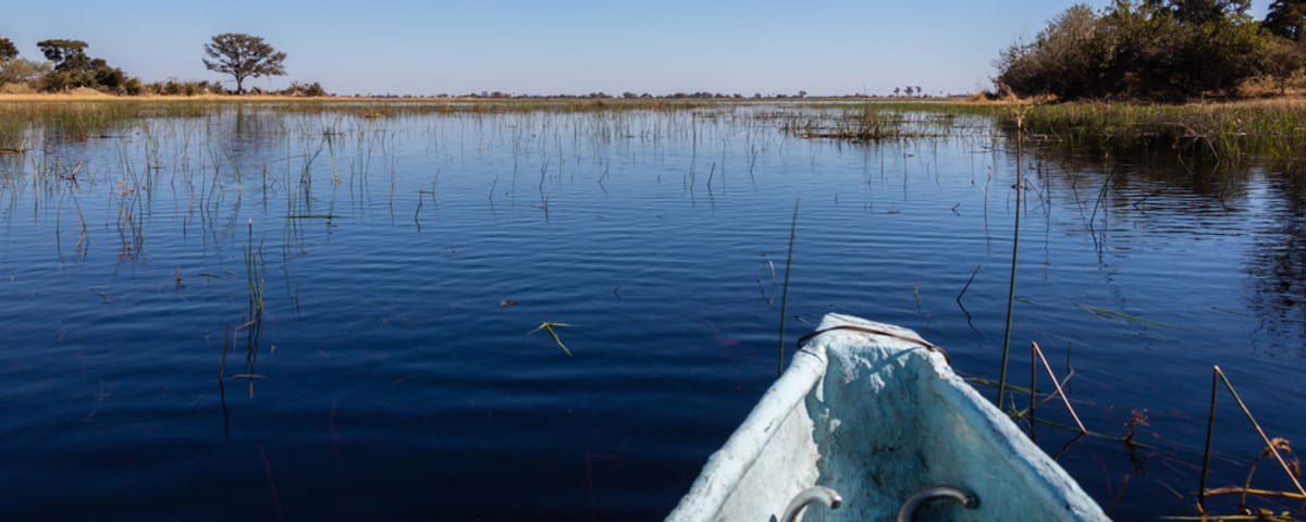 The Okavango Delta, a boat safari full of surprises!