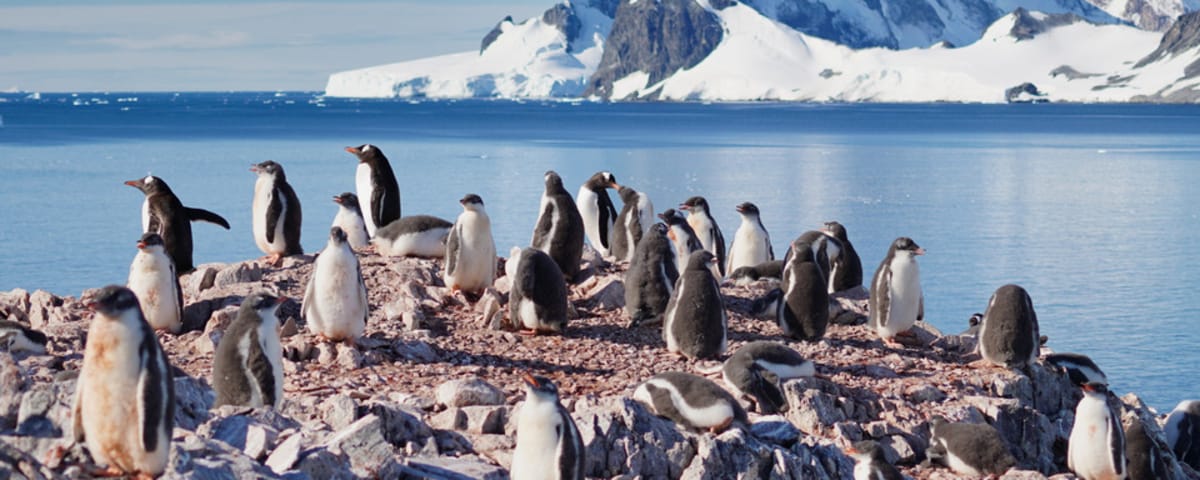 Observing wildlife from the deck of a boat.