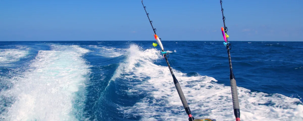 Fishing with a rod or net from your boat: which method to choose at sea?